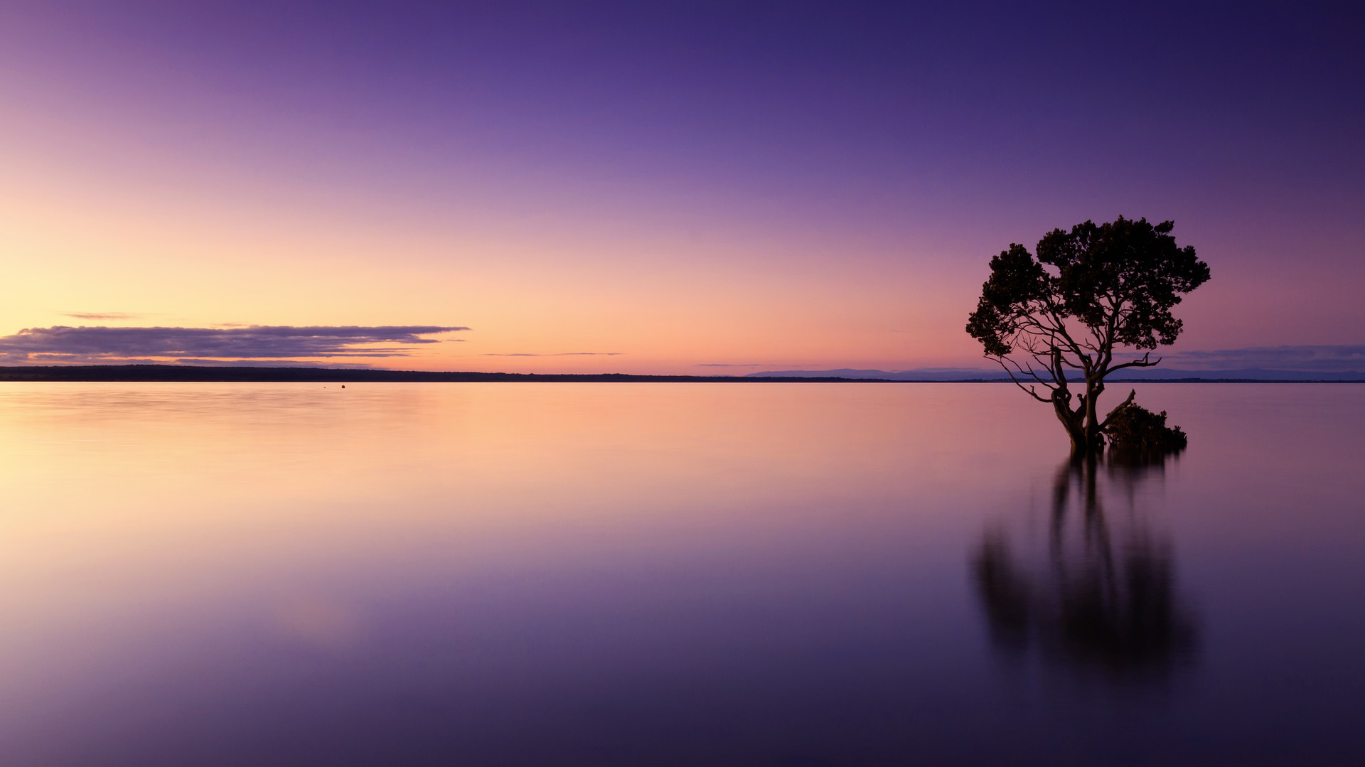 horizontes psicologia